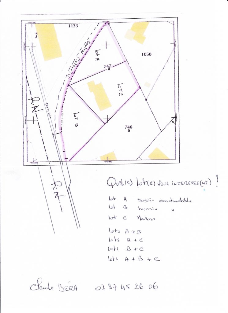 Terrain 1
